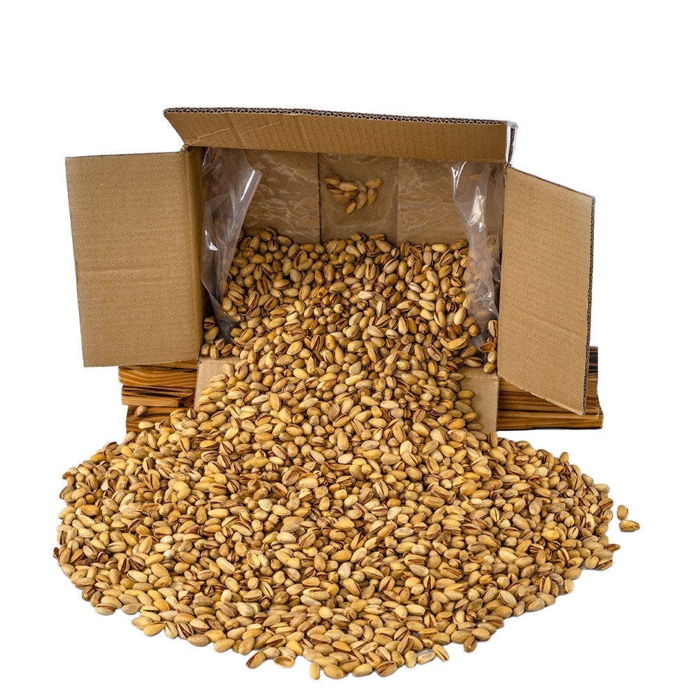 Mahnaz Food Wholesale | Roasted Pistachio AA 5kg