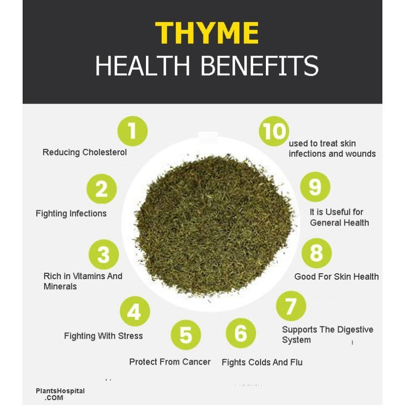 Teh Thyme Organik Mahnaz Food Lale (35G)