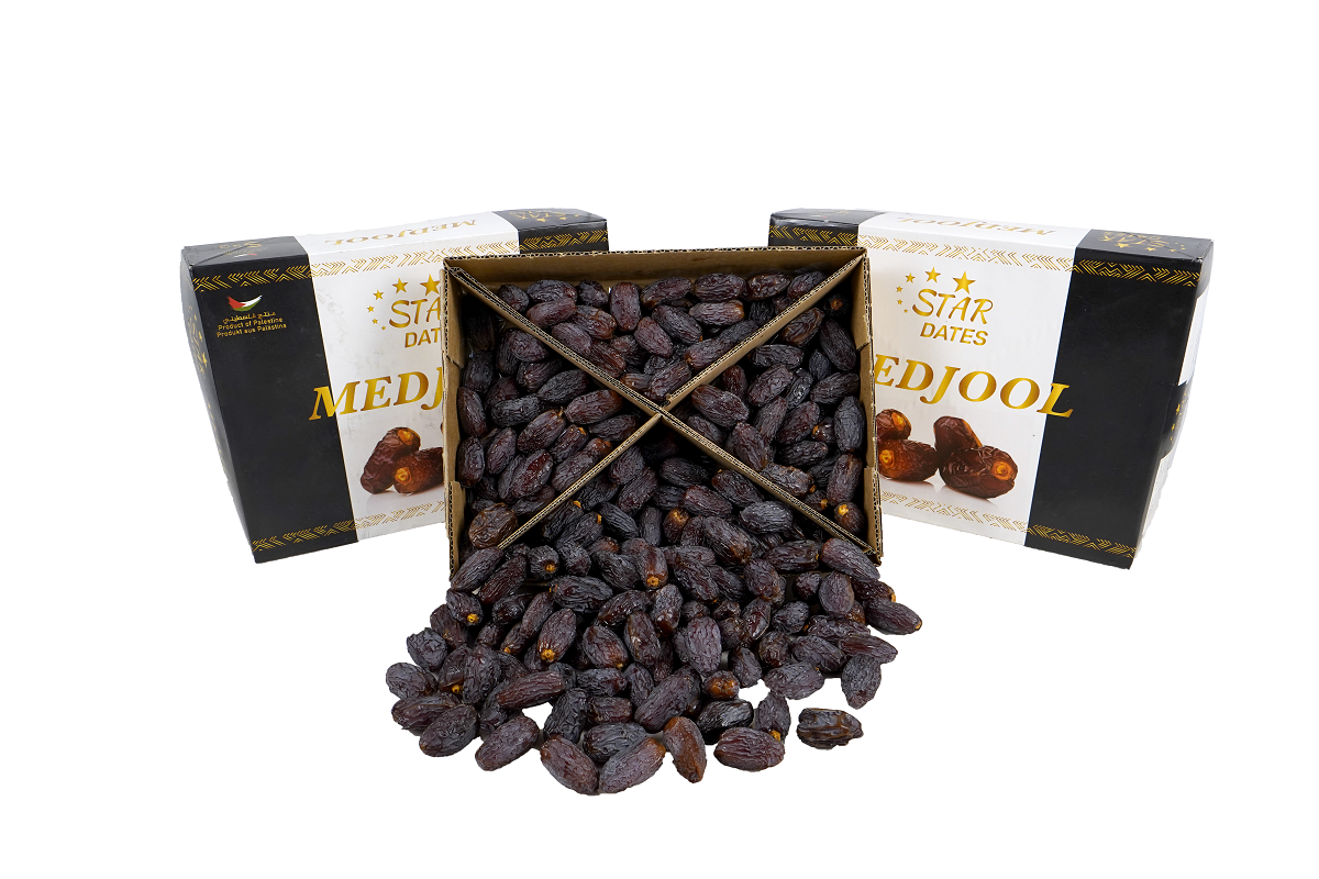 Medjool Dates | Wholesale