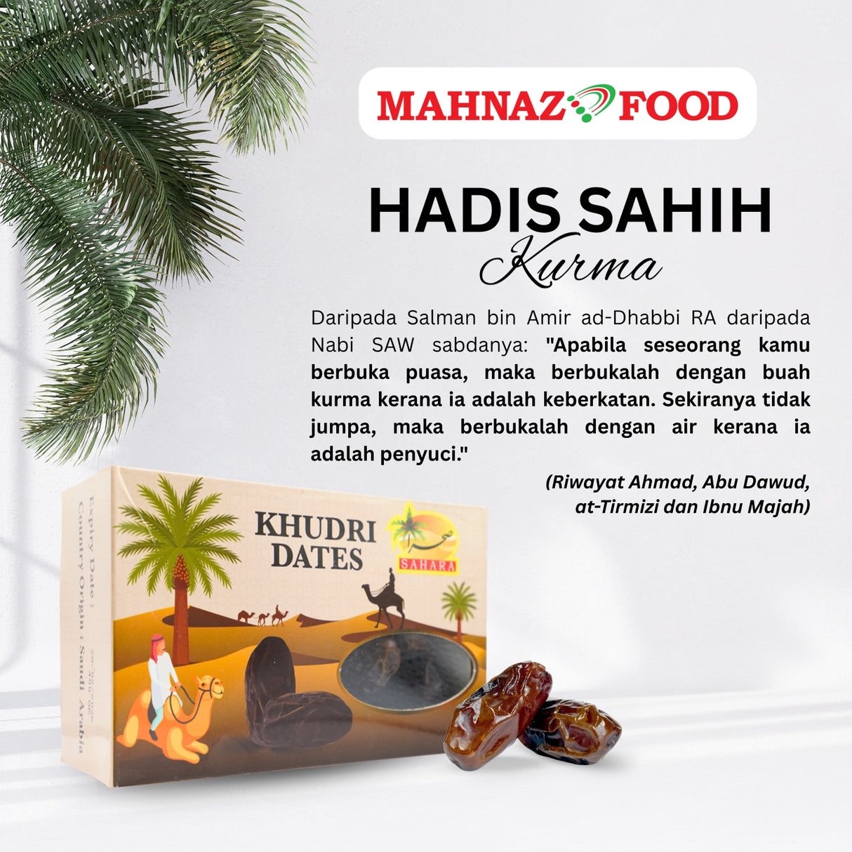 Sahara Khudri Dates 400g