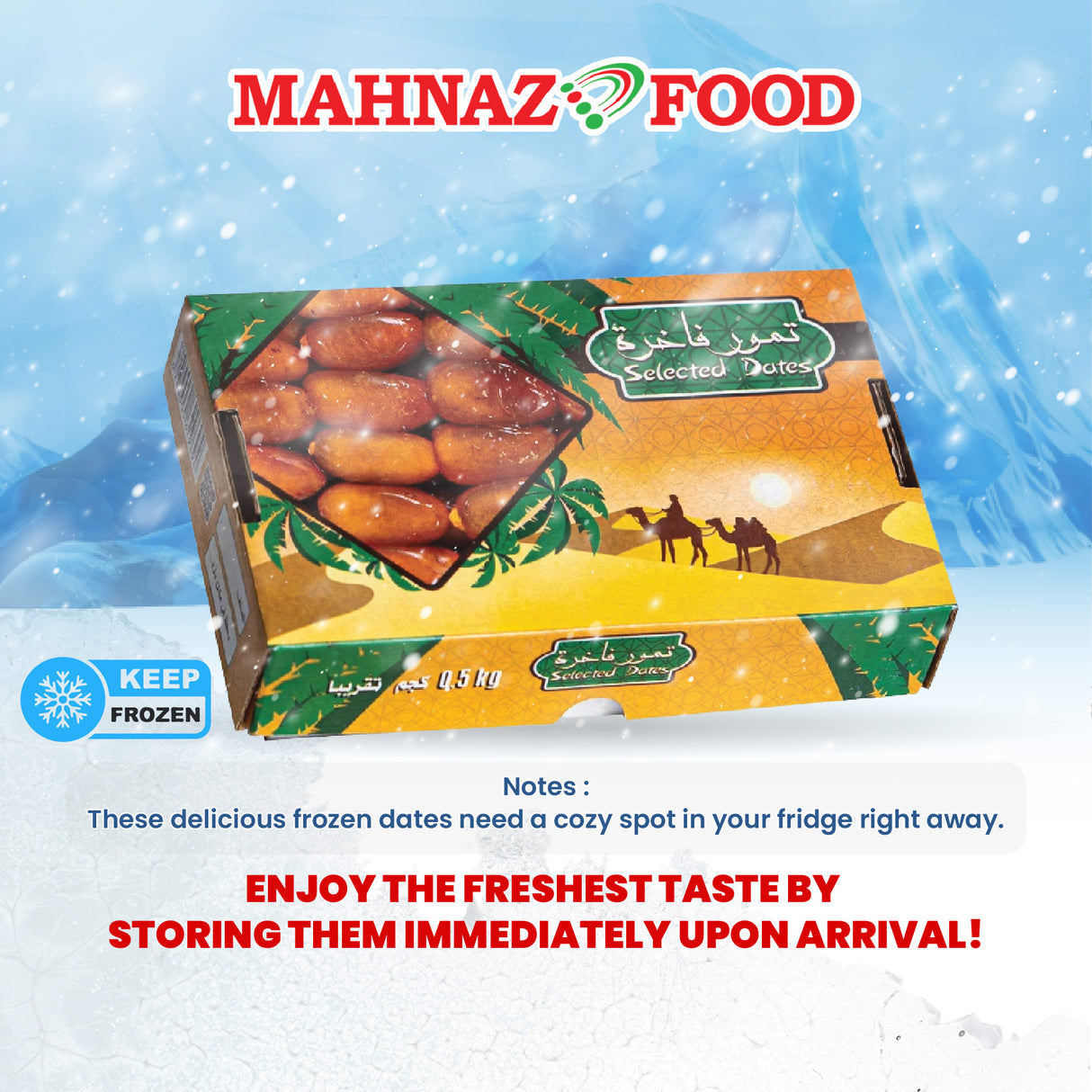Mahnaz Food Selected Libyan Fresh & Young Kurma Sejuk Libya (500G/1Kg)