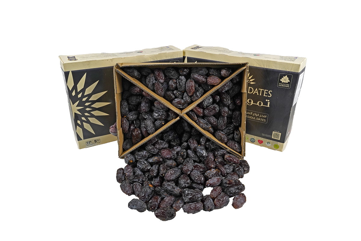 Wholesale | Qamar Finest Palestinian | Medjoul Dates | Large | 5Kg