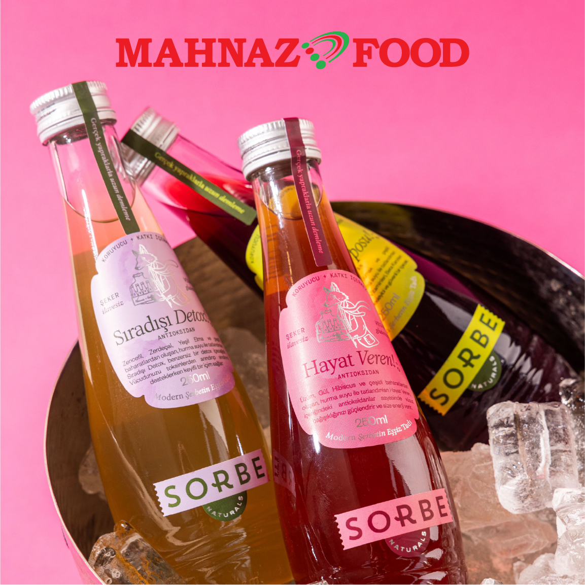 Mahnaz Food Sorbe Detox Brew Juice 750ml