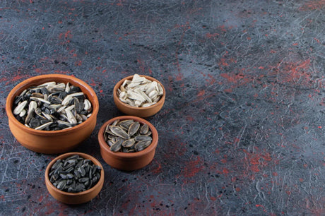 Kuaci vs Biji Labu: Mana Lebih Baik untuk Snek Sihat?