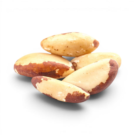 Brazil Nut