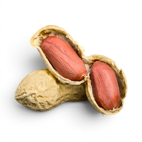 Peanut