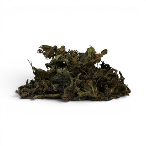 Nettle Tea