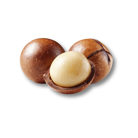 Macadamia