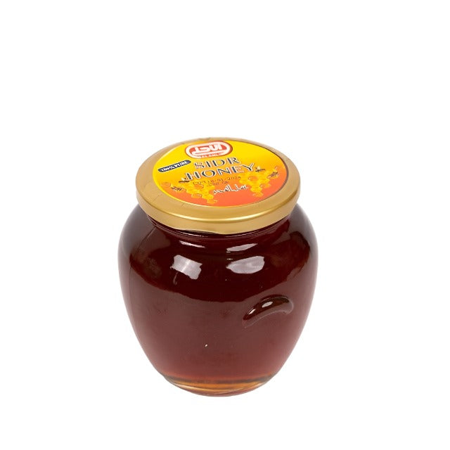 Mahnaz Food Alahi Pure Sidr Honey (500G)