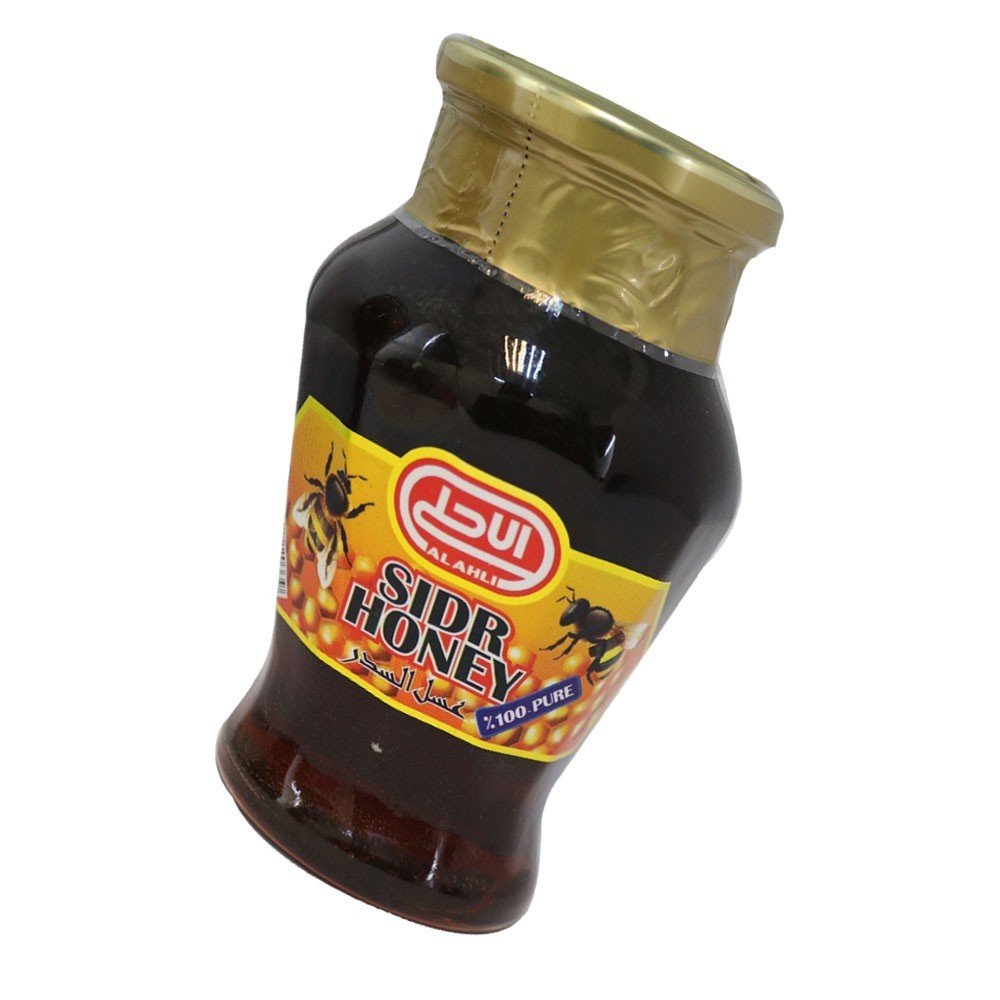 Mahnaz Food Alahi Pure Sidr Honey (500G)