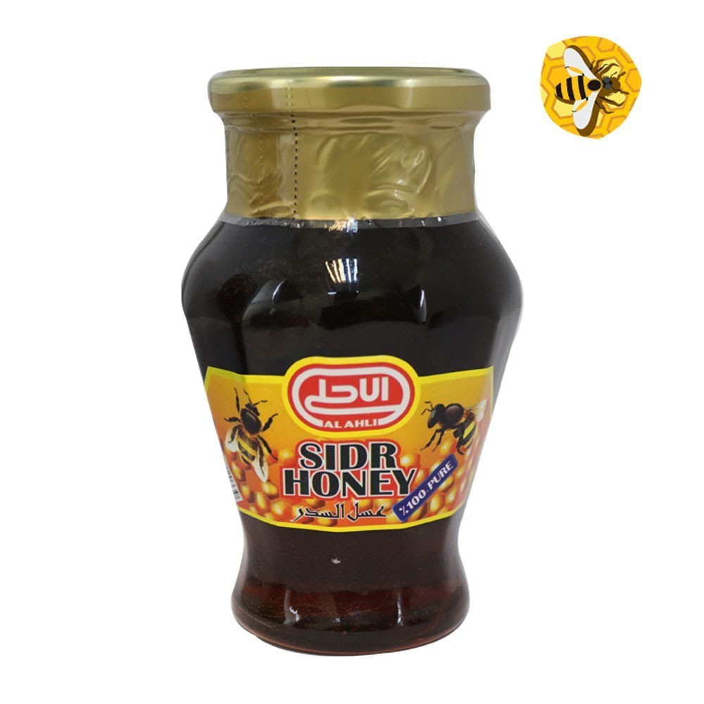 Mahnaz Food Alahi Pure Sidr Honey (500G)