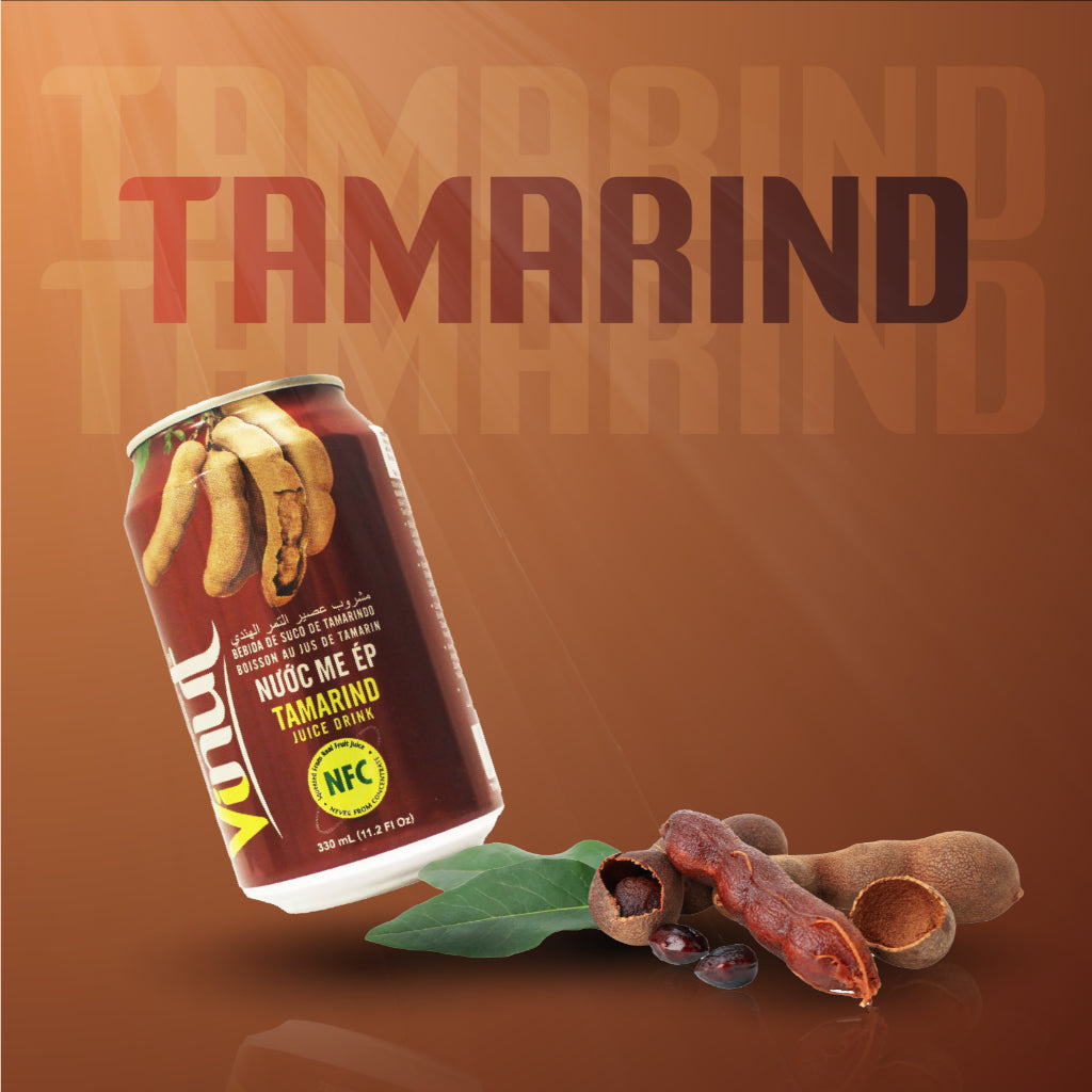 Mahnaz Food Vinut Canned Beverages