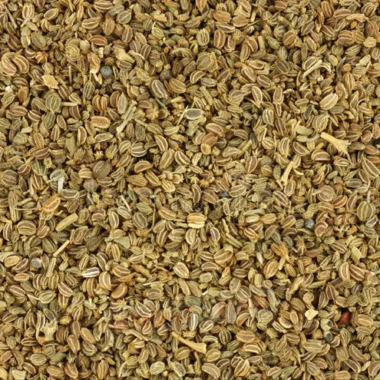 Herbs & Spice | Celery Seed | Seasoning for Cooking, Soup & Pickling | 160g