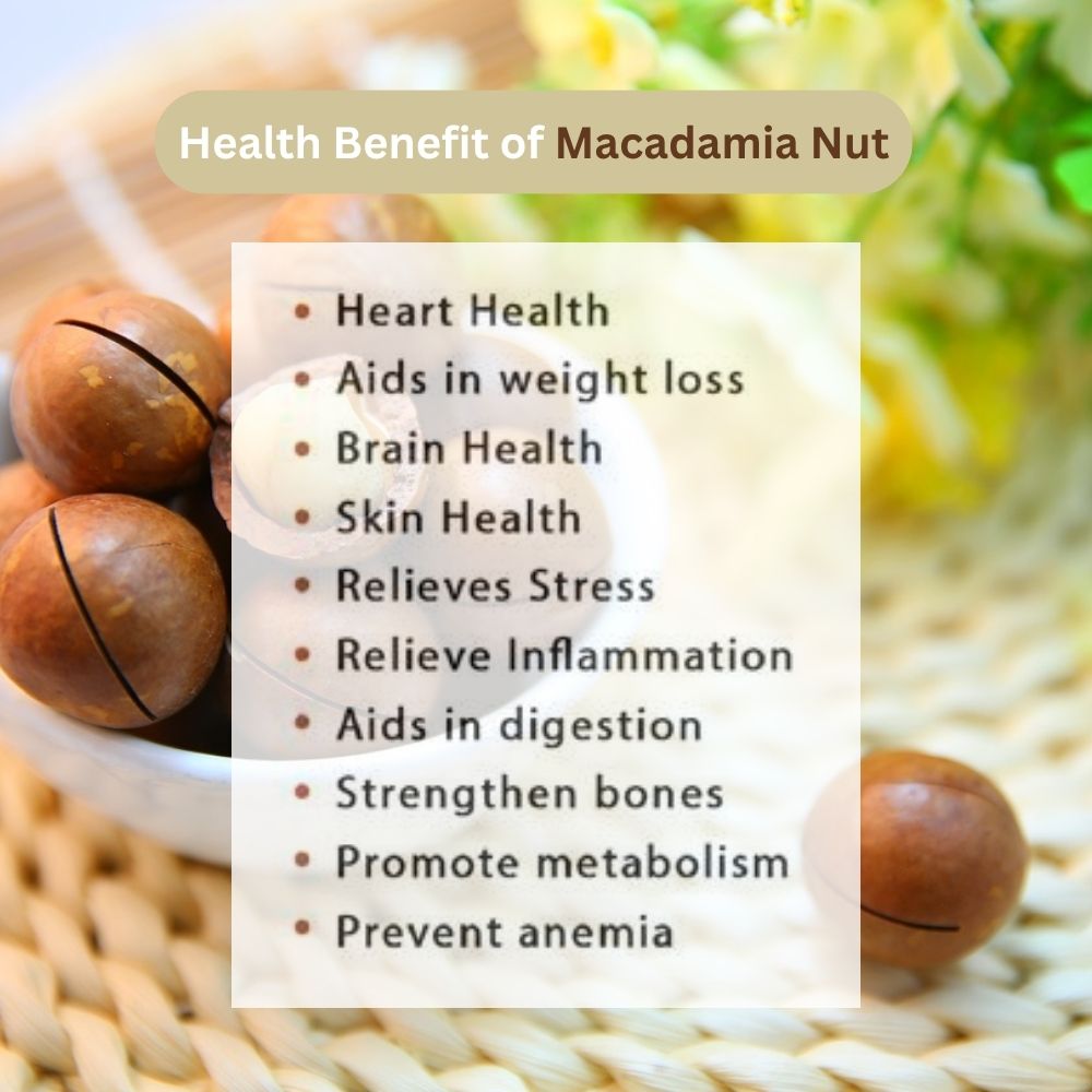 Macadamia with Skin | 400g