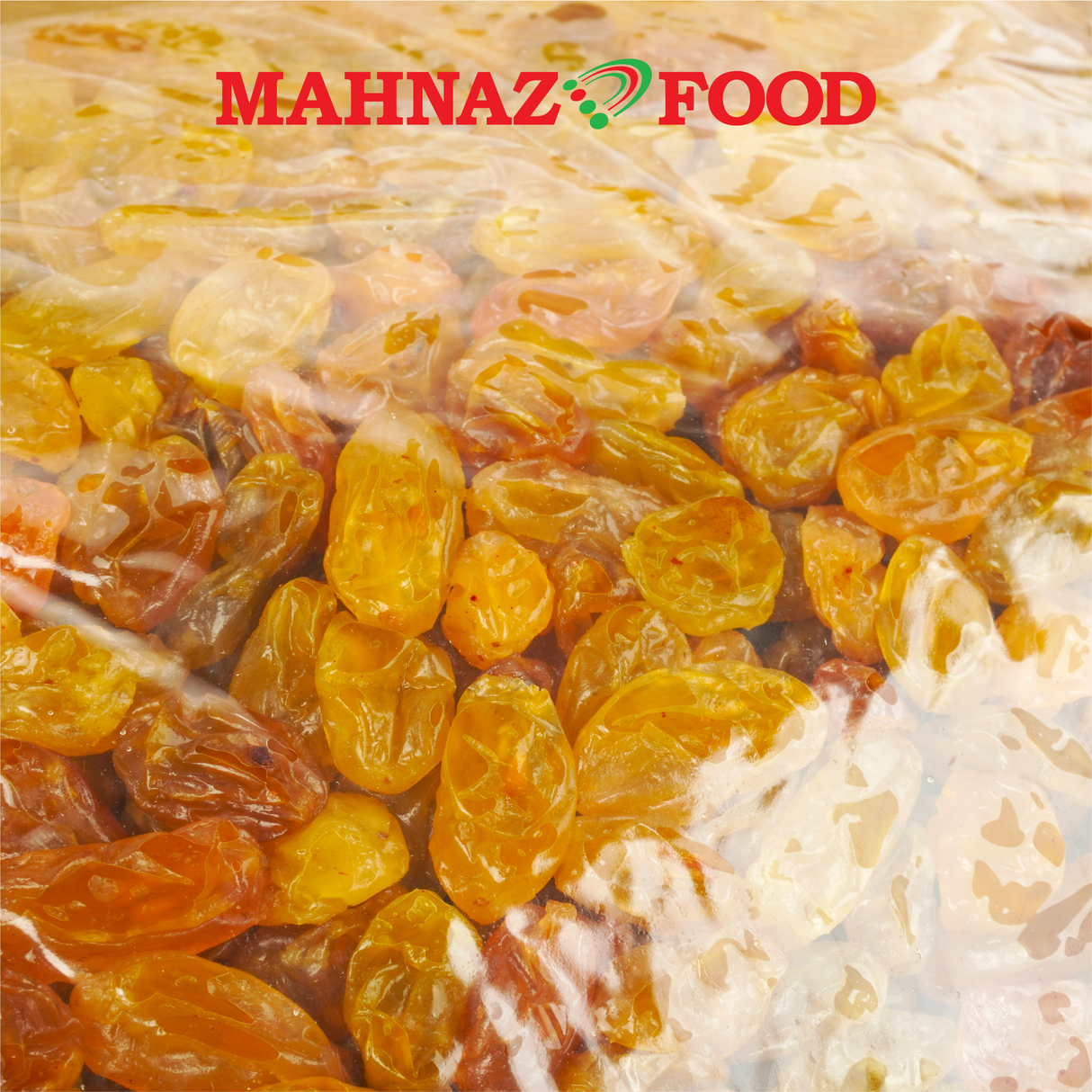 Mahnaz Food Wholesale | Mahnaz Golden Jumbo Raisin 5kg