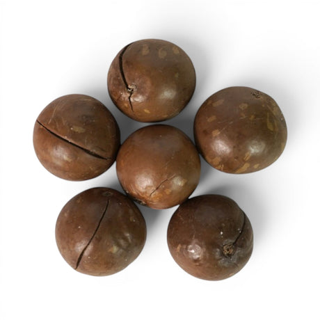 Mahnaz Food premium macadamia nuts with natural brown hard shells arranged in a circle on a white background