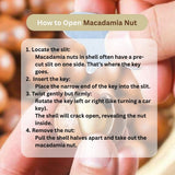 Macadamia with Skin | 400g