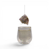 Mahnaz Food Herbal Memory Tea bag with rose petals, saffron & cardamom, steeping in a clear glass.
