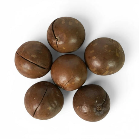 Mahnaz Food premium macadamia nuts with shells arranged in a flower pattern on a white background.